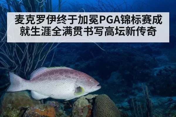 麦克罗伊终于加冕PGA锦标赛成就生涯全满贯书写高坛新传奇